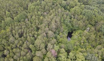 643 Radar Rd, Ararat, NC 27007