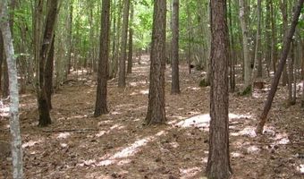 00 High Pine Church Rd, Asheboro, NC 27205