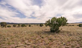 A1 Kirby Lane A1, Ash Fork, AZ 86320