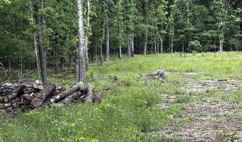 00 Gold Hill Rd, Atkins, AR 72823