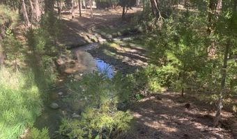 Edgewater Way lot 84, Adin, CA 96006