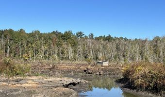 0 Bar M Farm Rd, Andalusia, AL 36421
