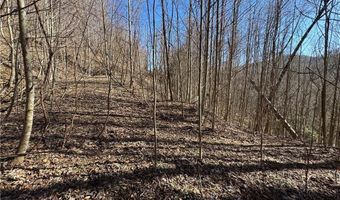 209 Hump View Trl, Banner Elk, NC 28604
