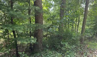 Lot 1 & 2 Rt. 1 Muddy Creek Mountain, Alderson, WV 24910
