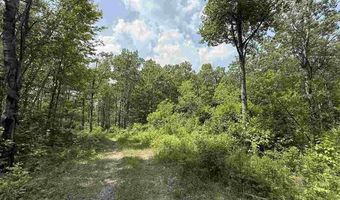 TBD Samuelson Road - Sec 15, Angora, MN 55703