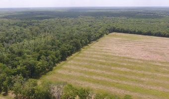 0 HWY 71, Alexandria, LA 71303