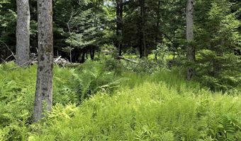 1386 Clif Reynolds Rd, Cambridge, VT 05444