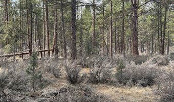 Bufflehead Drive TL 10, Bonanza, OR 97623
