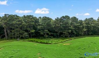 4291 County Road 1807, Arab, AL 35016