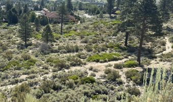 Kingsbury Grade, Gardnerville, NV 89460