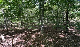 VL Lake Dr lot 174/175, Allegan, MI 49010