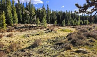 PCS # 7765 & 12057 Rollies Trail lot 0, Alma, CO 80420