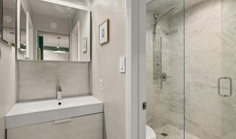 950 VINE St, Aspen, CO 81611