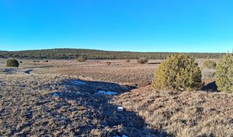 286 County Rd, Concho, AZ 85924