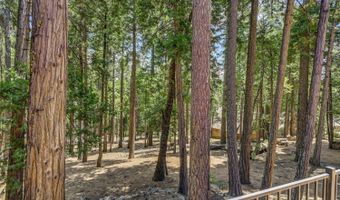 2904 Ute Pl, Arnold, CA 95223