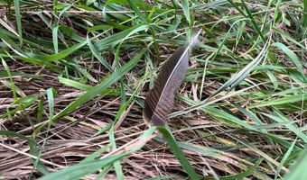 27450 SW 32nd Rd, Beatrice, NE 68319