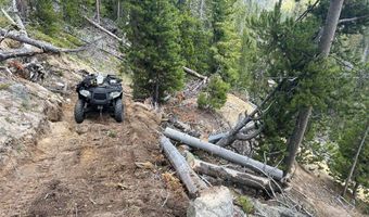 Cataract Creek Road, Basin, MT 59631