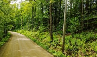 Camp Brook Road lot 67, Alstead, NH 03602