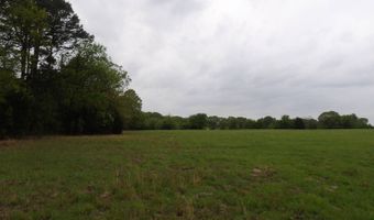 4100 Six Mile Rd N, Antlers, OK 74525