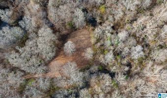BRUSH CREEK DRIVE lot 0, Akron, AL 35441
