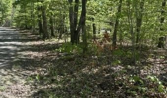 Davis Lane, Aroda, VA 22709
