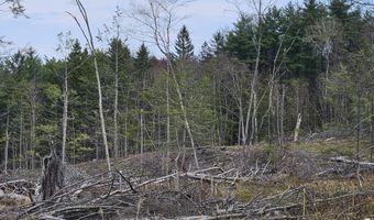 295 Shellstone Rd, Amsterdam, NY 12010