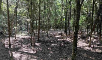 0 CR 4236, De Kalb, TX 75559