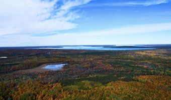 6402 Rustic Pine Trl, Alanson, MI 49706