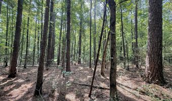 2435 Brignall Rd, Brookhaven, MS 39601