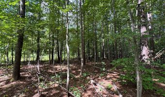 Holiday Lake Road, Appomattox, VA 24522