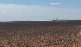 Farm To Market Rd 54, Abernathy, TX 79311
