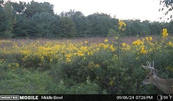 11775 25 1/2 Mile Rd, Albion, MI 49224