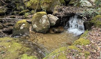62 Acres Buckeye Ridge Rd, Beech Mountain, NC 28604