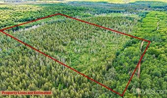 1188 NW S Ross Wells Rd, Arnold, MI 49819