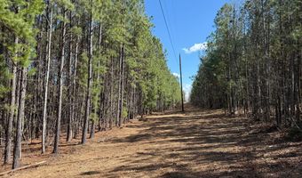 MOUNTAIN CUT RD lot C, Appomattox, VA 24522