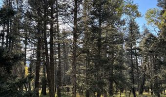 Lot 1319 Pleasant Valley Overlook, Angel Fire, NM 87710