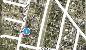 DEER CROSSING ROAD, Altoona, FL 32702