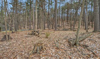 1885 Timber Trail Dr SE, Ada, MI 49301