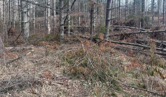 99999 White Pine Ln, Bakersville, NC 28705