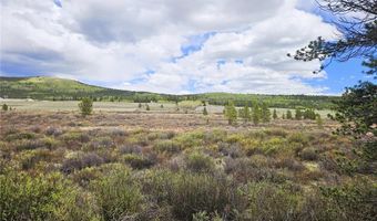700 Looney Ln Lot 0, Alma, CO 80420
