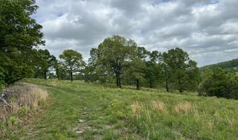 Co Rd 321 Route 5, Ava, MO 65608