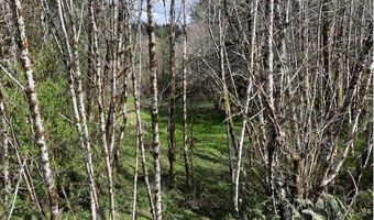 Northrup Creek Rd, Birkenfeld, OR 97016
