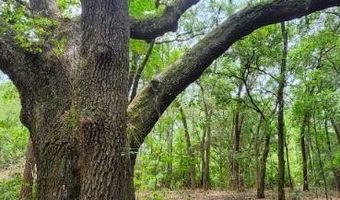 0 Peapatch Rd, Biloxi, MS 39532