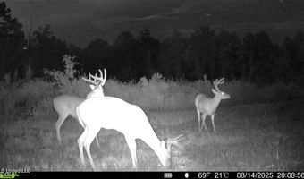 00 Ebenzer Church Rd, Bassfield, MS 39421