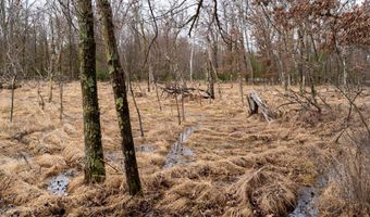Dover Drive lot 1 14 Ac, Adams, WI 53910