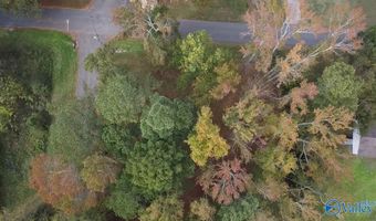 Lot 6 2nd Street NE, Arab, AL 35016
