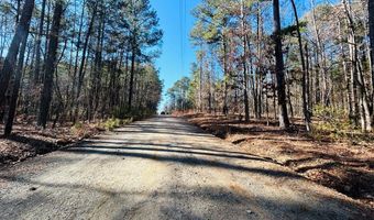 Blk 14 Lot 06 QUINCE COURT, Waverly Hall, GA 31831