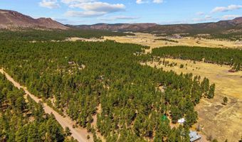 61 Co Rd 2266, Alpine, AZ 85920