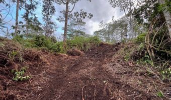 15-1958 23RD Ave, Keaau, HI 96749