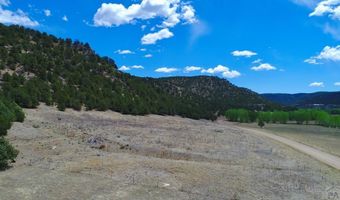 24357 Co Rd 54.2, Aguilar, CO 81020